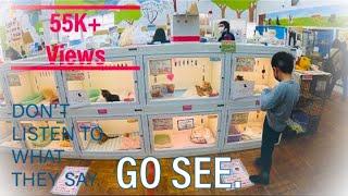 Best pet store 2022 4K |  Joyful Honda  | Pet shop Japan