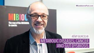 Rémy Burcelin - Gut dysbiosis, metabolic diseases and cancer