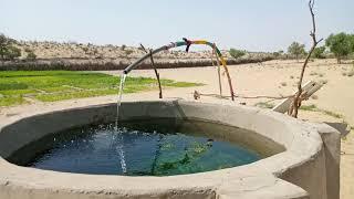 irrigation system on summer pump in Tharparkar sindh