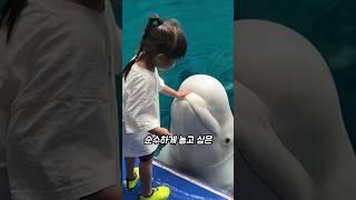 벨루가가 아이들을 울리는 이유