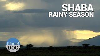 Shaba. Rainy Season | Nature - Planet Doc Full Documentaries