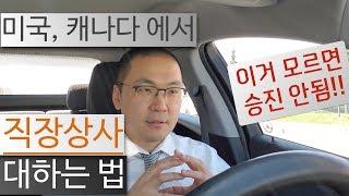 미국, 캐나다 직장상사 대하는 법 (모르면 승진 안됨!)