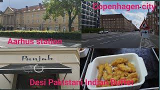 Copenhagen/Desi Pakistani and Indian Buffet/Metro Train/Asian family in Denmark