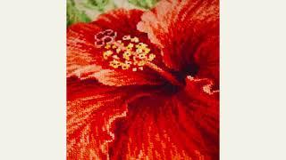 RIOLIS cross stitch kit review. 1967 Hibiscus