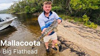 Catching Big Flathead!!! - Mallacoota day 1