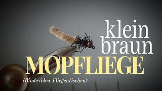 Bindevideo // Mopfliege klein hellbraun // Fliegenfischen #fliegenfischen #flytying #flyfishing