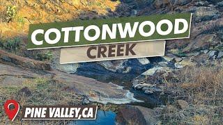 Cottonwood Creek Trail | Pine Valley, CA | Cleveland National Forest | 1080P