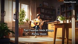 New Song 2024 || Teri Yaadon Mein Khoya Rehta Hoon || Slowed Reverb