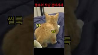 사냥 전 고양이 뒤태가 치명적인 이유