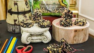 How To - Meredith Sinclair's DIY Winter Bird Seed Cakes - Hallmark Channel