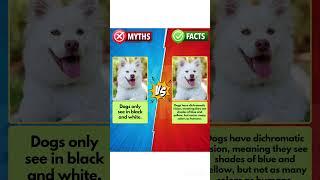 Myth Vs Facts Did You Know This #fact #facts #myth #myths #mythvsfacts