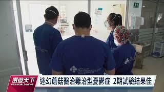 迷幻蘑菇「裸蓋菇素」被研究可強化大腦連結 成難治型憂鬱症新希望｜20221211 全球現場漫遊天下