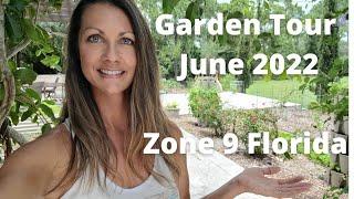 Vegetable Garden Tour Zone 9 Garden Tour Florida June 2022