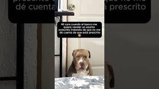 MI CARA CUANDO EL BANCO ME QUIERE VENDER UN ASUNTO