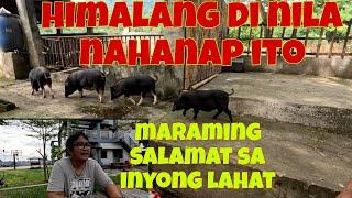 Salamat po ng marami sa isang taon na puno ng blessings | Ang ganda ng baboy na dunating