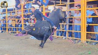 MONTAS  TRADICIONALES DE LA SIERRA JUAREZ JARIPEO EN SAN ANDRES SOLAGA NOVIEMBRE 2023