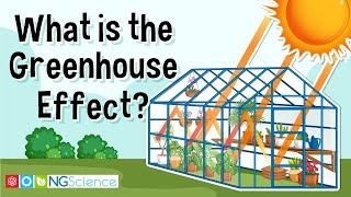 What is the Greenhouse Effect?