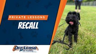 RECALL (COME) LESSON | PRIVATE DOG TRAINING LESSONS