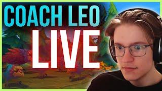 ️ EDUCATIONAL CHALLENGER SOLOQ GRIND 287 LP START