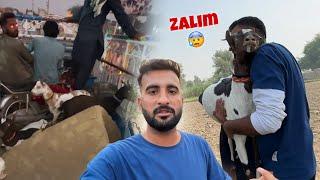 Hamari Goats Kay Sath Bahut Zulm Hoa 