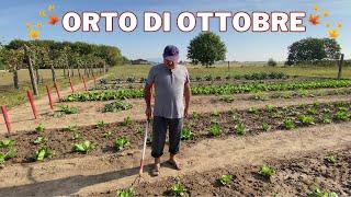 ORTO a OTTOBRE: gli ORTAGGI che COLTIVO!