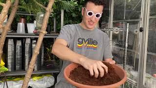 Peat Moss vs Coco Coir - Sustainability and Price