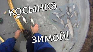 Рыбалка на косынки! на лыжах ставлю косынки! тонкий лёд! как поставить косынку зимой! косынки!