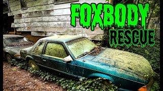 Foxbody Rescue and Build by Teenager