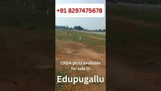 CRDA Open Plots in Edupugallu for Sale | Ideal Location for Your Future Home | Call +91 8297475678