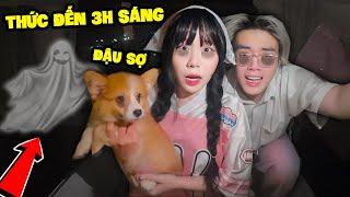 SAMMY VÀ PHONG CẬN CÙNG BÉ ĐẬU THỨC ĐẾN 3H SÁNG TẠI NHÀ MỚI