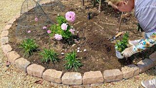 DIY Raised Garden Bed with Beautiful Flowering Shrubs