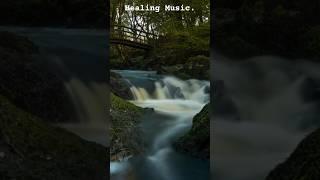 Tranquil Forest - Ambient Music for Deep Relaxation | Soul Soothing Sounds