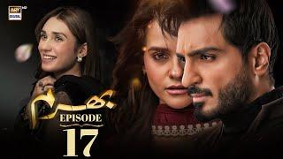 Bharam Episode 17 | Hina Tariq | Rabya Kulsoom | Omer Shahzad | 19 Dec 2024 (Eng Sub) | ARY Digital