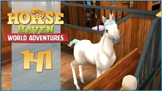 Our First Unicorn Foal!! • Horse Haven - Episode #141