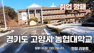 (대학1)취업 깡패 농협대학교 현장리포트와 분석