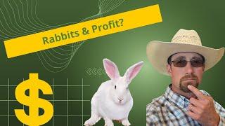 How to make an income with Meat Rabbits