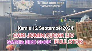 Update stok jomin, ijo ranting#SATRIABIRDSHOP-kamis12/09/2024