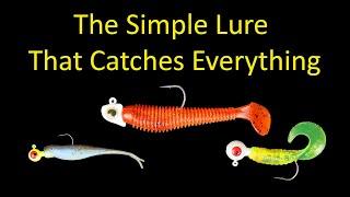 The Simple Lure that Catches Everything - Soft Plastics Fishing