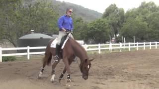 Schooling The Young Horse 1: Will and Feugo