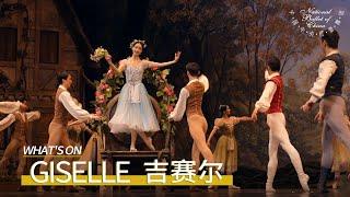 Giselle at the Tianqiao Theater: "Through Your Performance, I Understood the Essence of Ballet!"