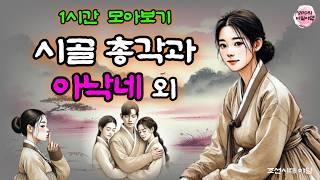 비밀야담 1시간 몰아보기 13 / 야담 / 전설 / 민담 / 설화 / 옛날이야기