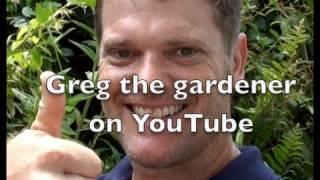 Welcome to Greg the gardener :)