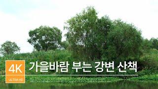 가을바람 부는 강변 산책 | 플리 | 힐링음악 | PLAYLIST | ㅣSONY A7M4ㅣAutumn windy riverside