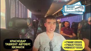 Краснодар Ташкент автобус Krasnodar Toshkent avtobus