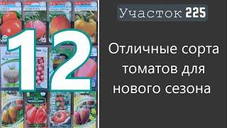 Какие томаты посадить в этом году? Лучшие и проверенные сорта