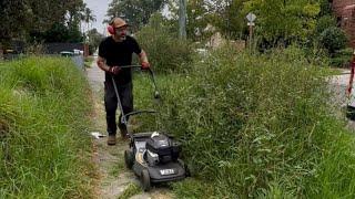 The most overgrown Front Verge in Australia gets a haircut! Why did it get to this?