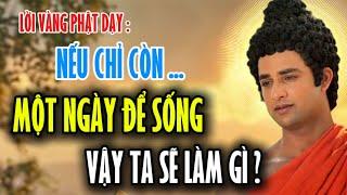 Lời Vàng Phật Dạy : Nếu Chỉ Còn Một Ngày Để Sống Vậy Ta Sẽ Làm Gì ?