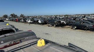 Junkyard Graveyard of German Beasts of the Audobahn: Mercedes-Benz C126, R129, W124, W123, BMW E30