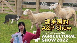 新西兰农牧展 | 坎特伯雷日的由来 | A&P Show 2022【新西兰ChrisAndHolly】Vlog