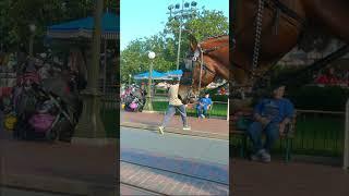 Horse Drawn Trolley in Magic Kingdom, Disney World